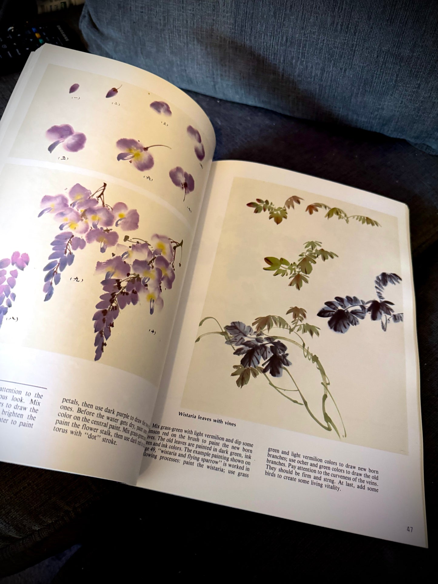 Flowers and Birds: A Perspective Volume 1 (Chinese Painting Techniques) - 1991 By Yang O-shi