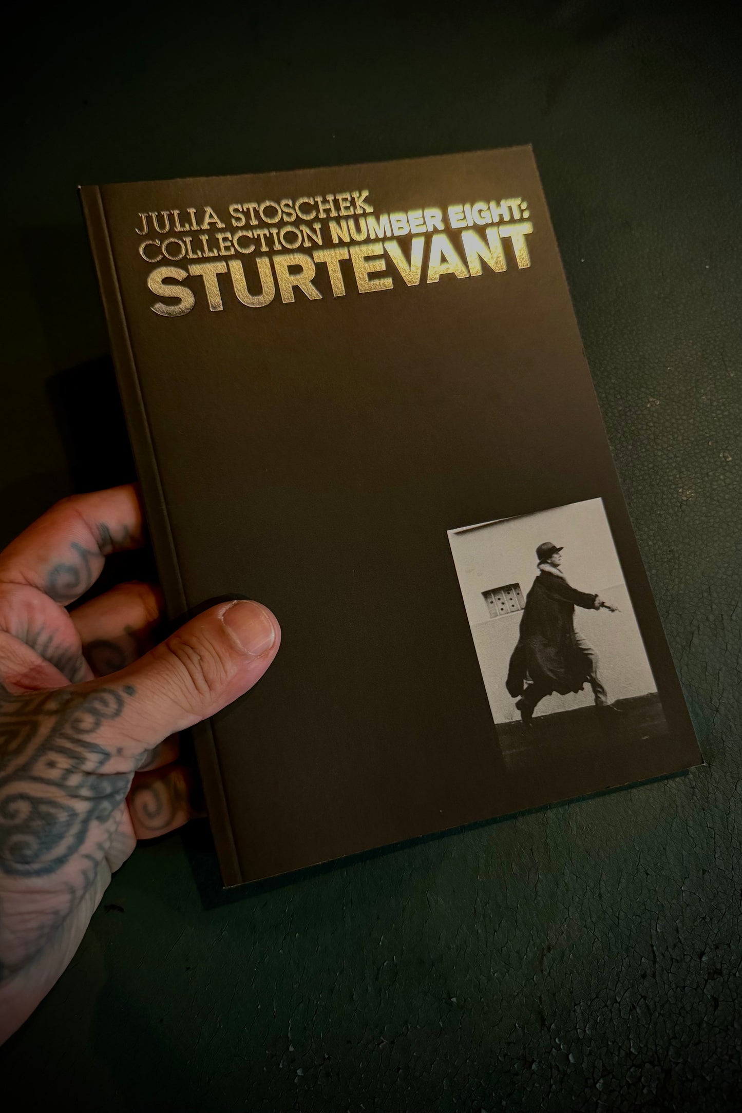 Julia Stoschek Foundation Book Number Eight: Sturtevant - 2014