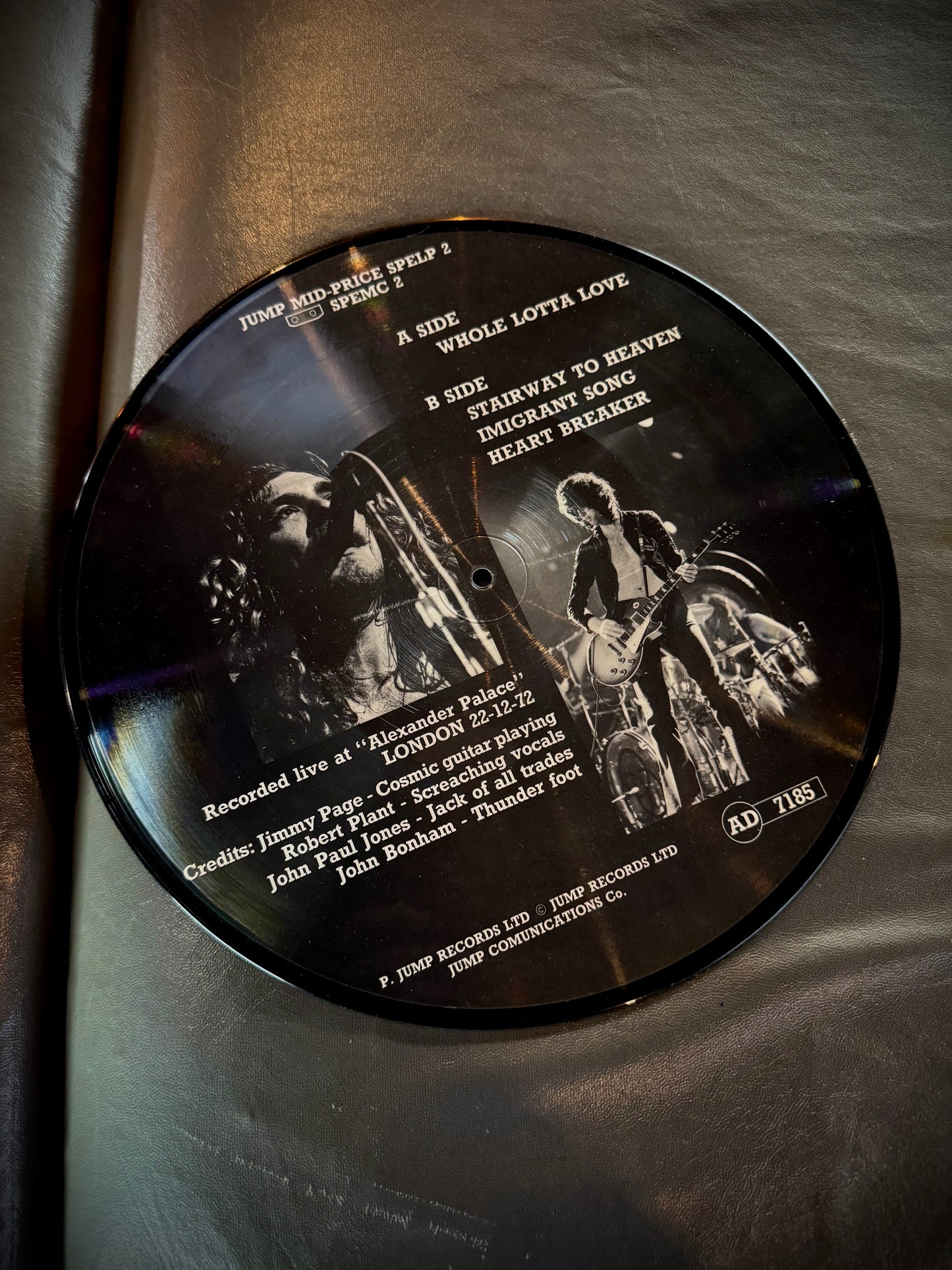 Led Zeppelin Rare Picture Vinyl Record at Riot House - 1972