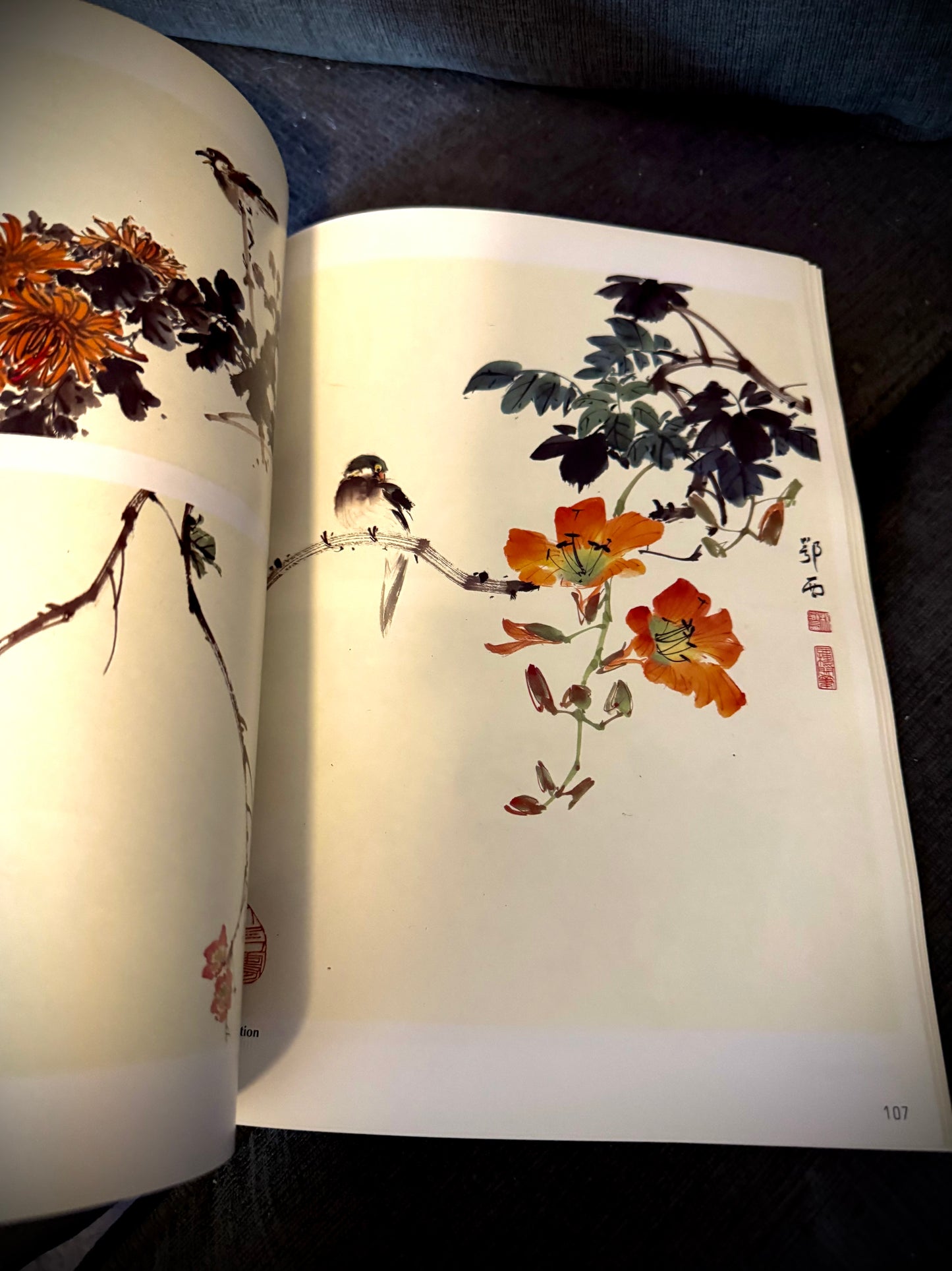 Flowers and Birds: A Perspective Volume 1 (Chinese Painting Techniques) - 1991 By Yang O-shi