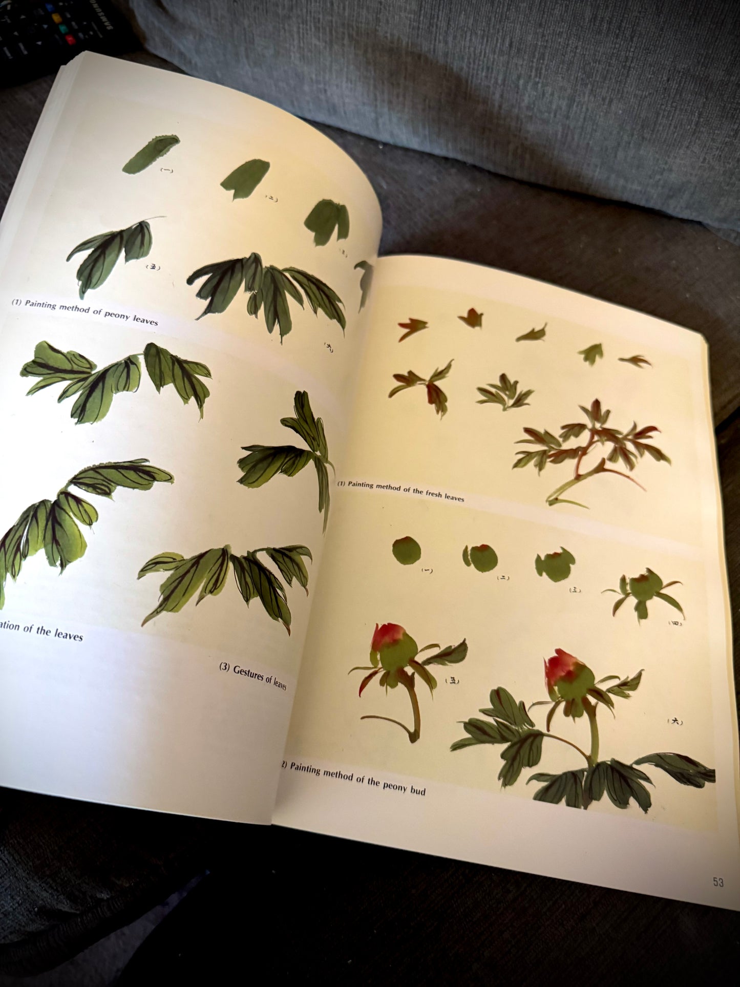 Flowers and Birds: A Perspective Volume 1 (Chinese Painting Techniques) - 1991 By Yang O-shi