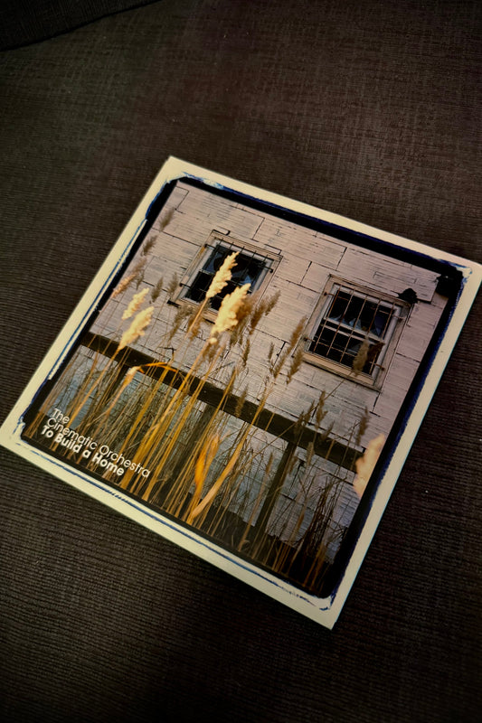 The Cinematic Orchestra 7” Vinyl Record - To Build a Home - 2007