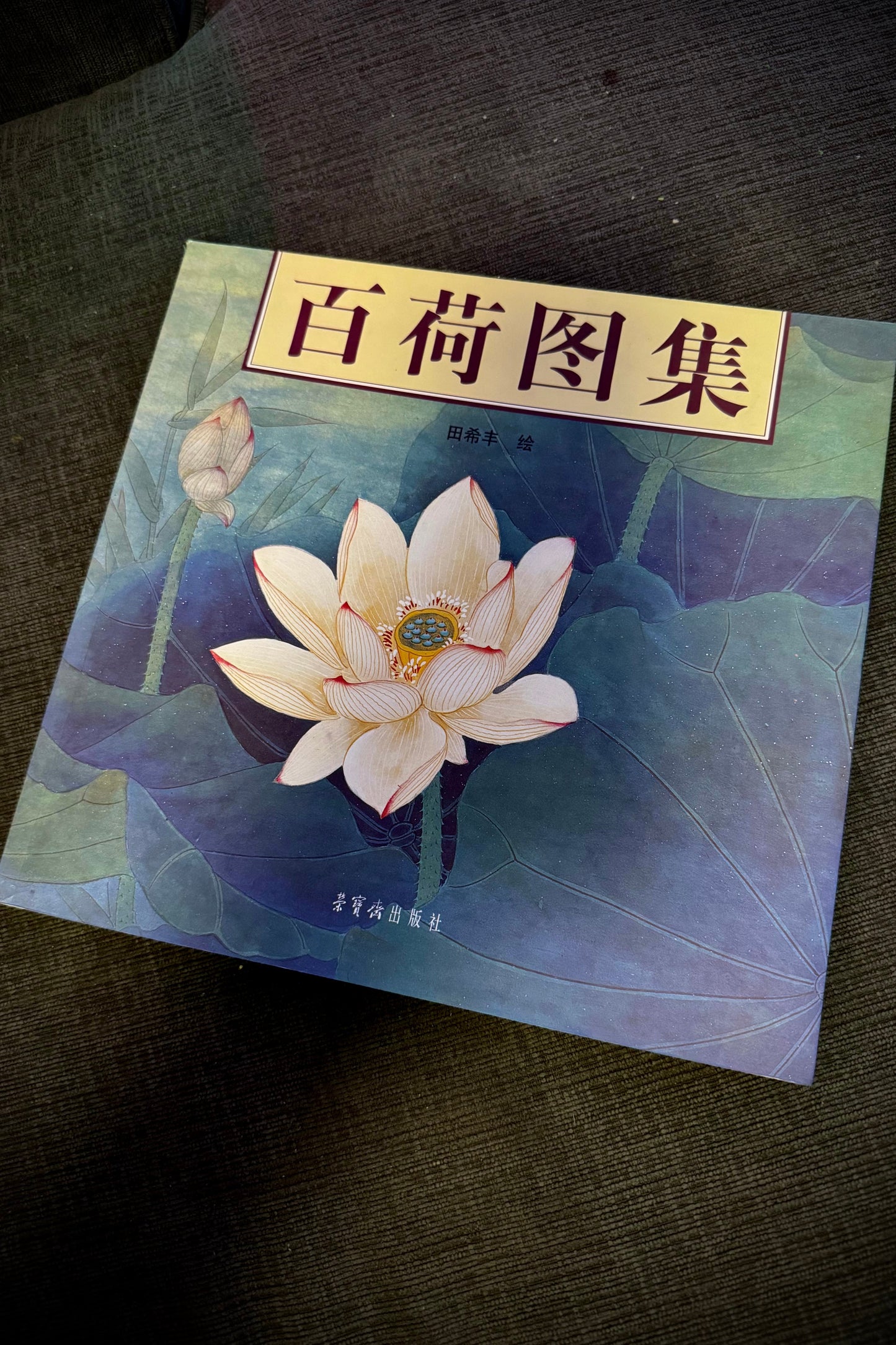 Tian Xifeng's Fine Flower Chinese Painting Masterpieces Series - 2005