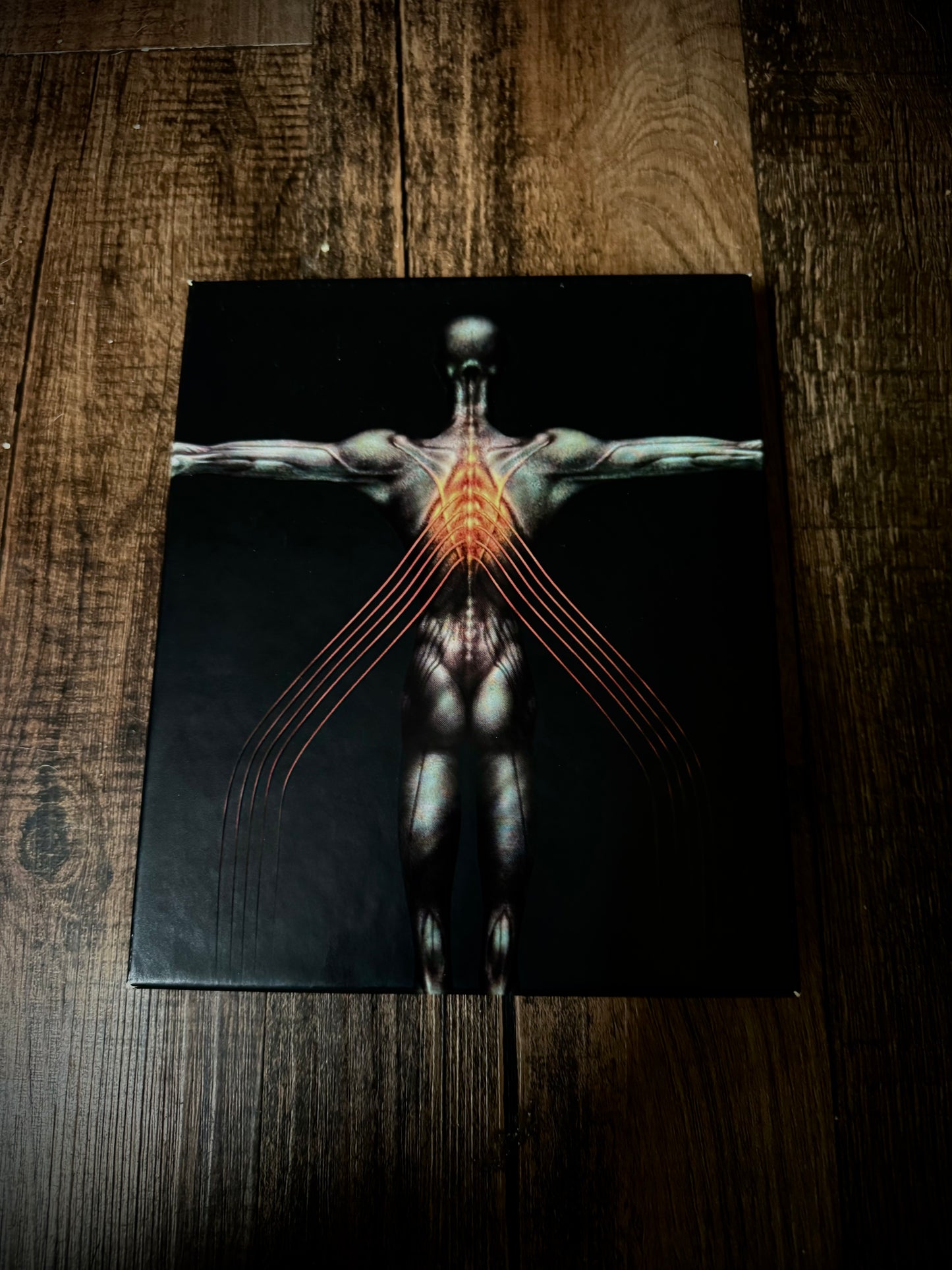 Tool "Salival" Limited Edition Box Set, Includes Box, Book, CD and DVD.